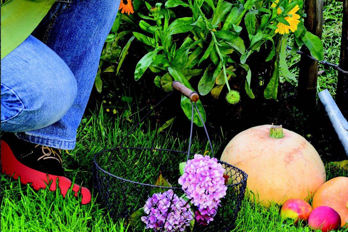 Couvre chaussures pour le jardin la Mouillère
