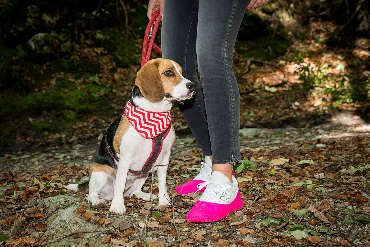 Surchaussures pour les promenades en forêt la Mouillère